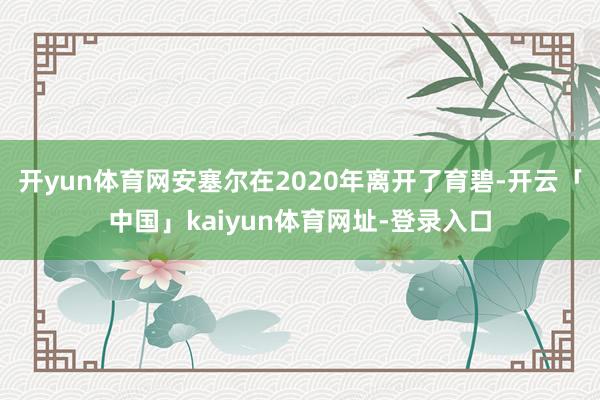 开yun体育网安塞尔在2020年离开了育碧-开云「中国」kaiyun体育网址-登录入口