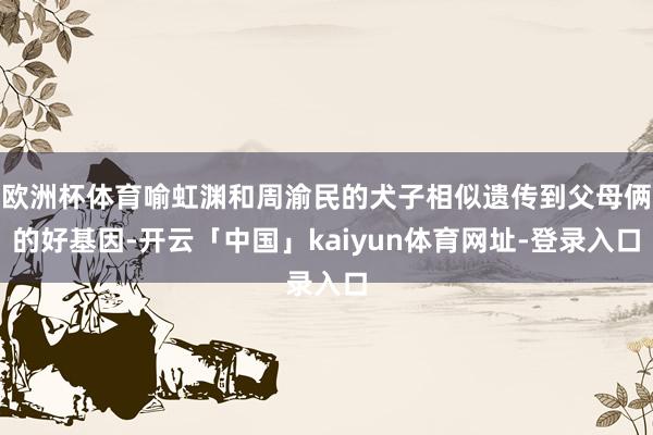 欧洲杯体育喻虹渊和周渝民的犬子相似遗传到父母俩的好基因-开云「中国」kaiyun体育网址-登录入口