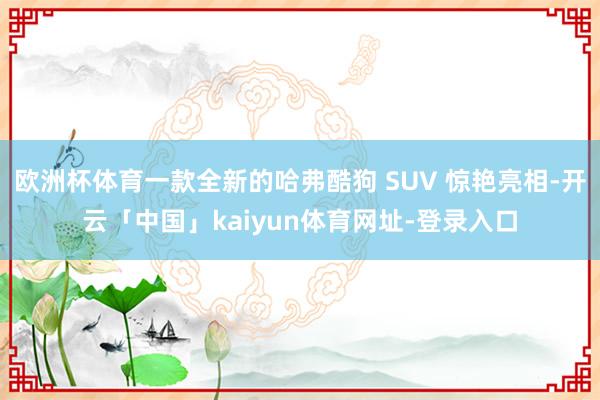 欧洲杯体育一款全新的哈弗酷狗 SUV 惊艳亮相-开云「中国」kaiyun体育网址-登录入口