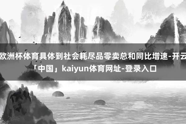 欧洲杯体育具体到社会耗尽品零卖总和同比增速-开云「中国」kaiyun体育网址-登录入口