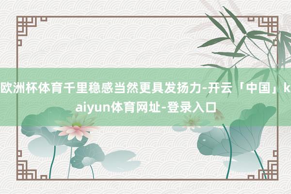 欧洲杯体育千里稳感当然更具发扬力-开云「中国」kaiyun体育网址-登录入口