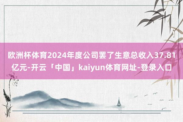 欧洲杯体育2024年度公司罢了生意总收入37.81亿元-开云「中国」kaiyun体育网址-登录入口